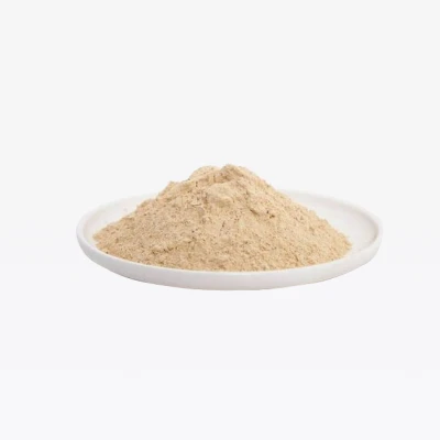 میگنیشیا